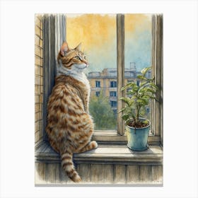 Cat On The Window Sill Canvas Print