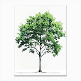 Beech Tree Pixel Illustration 1 Canvas Print