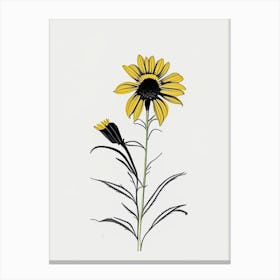 Rudbeckia Floral Minimal Line Drawing 2 Flower Canvas Print