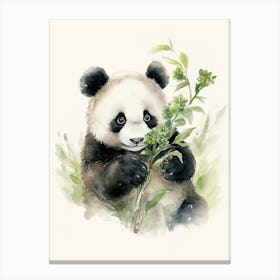 Panda Art Drawing Watercolour 1 Canvas Print