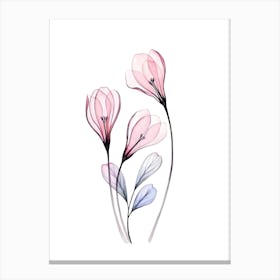 Watercolor Flowers 2 Canvas Print