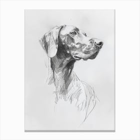 Redbone Hound Dog Charcoal Line 3 Canvas Print