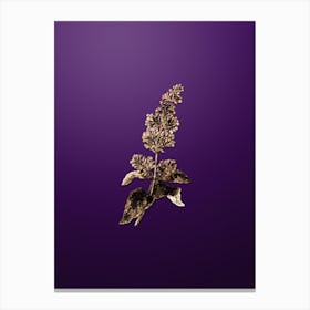 Gold Botanical Lady Josika's Lilac Flower on Royal Purple Canvas Print