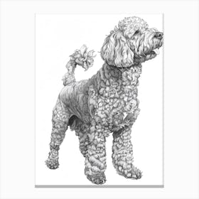 Lagotto Romagnolo Dog Line Sketch 2 Canvas Print