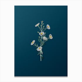 Vintage Glaucous Aster Flower Botanical Art on Teal Blue n.0799 Canvas Print
