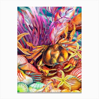 Just Keep Swimming Crab Canvas Print