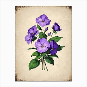 Violet Flowers Canvas Print