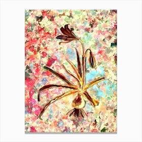 Impressionist Amaryllis Broussonetii Botanical Painting in Blush Pink and Gold Canvas Print