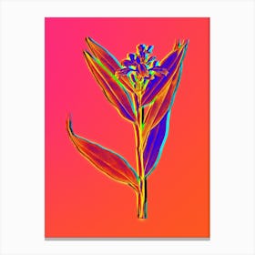 Neon Globba Erecta Botanical in Hot Pink and Electric Blue n.0392 Canvas Print