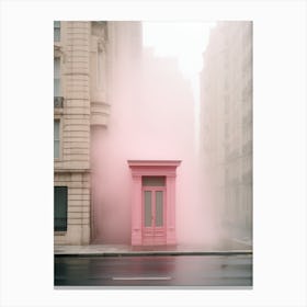 Pink Door Canvas Print