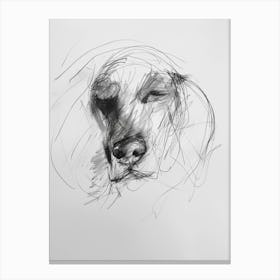 Sleepy Dog Charcoal Line Canvas Print