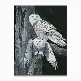 Snowy Owls 9 Canvas Print