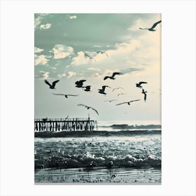 Seagulls On The Beach Canvas Print