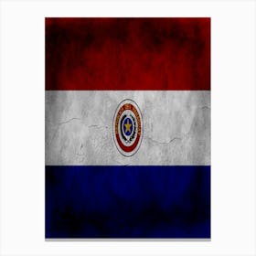 Paraguay Flag Texture Canvas Print