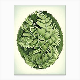 Lemon Button 1 Fern Vintage Botanical Poster Canvas Print