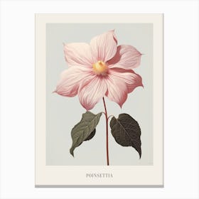 Floral Illustration Poinsettia 1 Poster Canvas Print