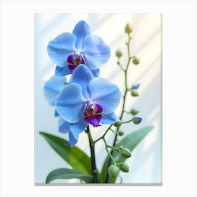 Whispers Of Orchids 1. Flower Canvas Print