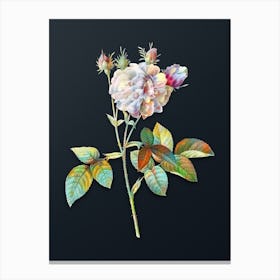 Vintage Pink Agatha Rose Botanical Watercolor Illustration on Dark Teal Blue n.0635 Canvas Print
