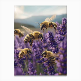 Colletidae Bee Realism Illustration 12 Canvas Print