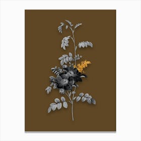 Vintage Alpine Rose Black and White Gold Leaf Floral Art on Coffee Brown n.0956 Canvas Print