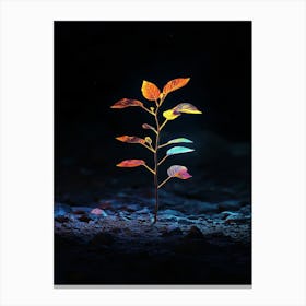 Tree In The Dark 27 Canvas Print