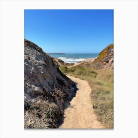 Way to the beach Canvas Print