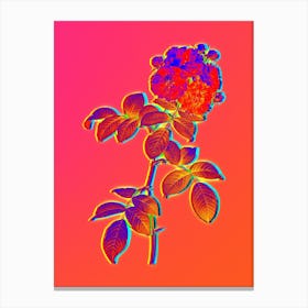 Neon Seven Sisters Roses Botanical in Hot Pink and Electric Blue n.0378 Canvas Print