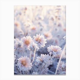 Frosty Botanical Asters 1 Canvas Print