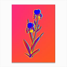Neon Elder Scented Iris Botanical in Hot Pink and Electric Blue n.0196 Canvas Print