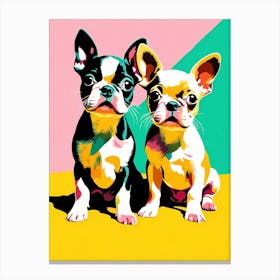 Boston Terrier Pups, This Contemporary art brings POP Art and Flat Vector Art Together, Colorful Art, Animal Art, Home Decor, Kids Room Decor, Puppy Bank - 150th Canvas Print