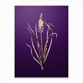 Gold Botanical Wild Asparagus on Royal Purple n.1458 Canvas Print