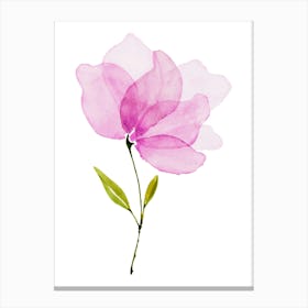 Pink Magnolia Watercolor Painting Canvas Print