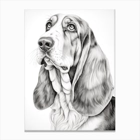 Basset Hound Dog, Line Drawing 1 Canvas Print