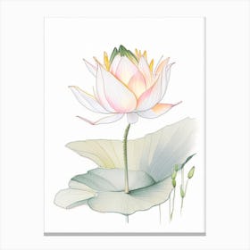 Lotus Flower In Garden Pencil Illustration 4 Canvas Print