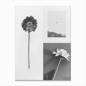 Gerbera Flower Photo Collage 3 Canvas Print