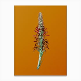 Vintage Pitcairnia Latifolia Botanical on Sunset Orange n.0489 Canvas Print