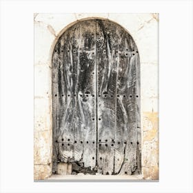 Old Door Wood Canvas Print