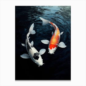 Koi Fish 4 Canvas Print