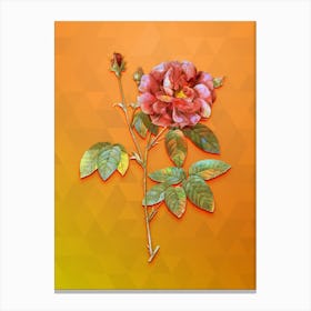 Vintage French Rose Botanical Art on Tangelo n.0890 Canvas Print