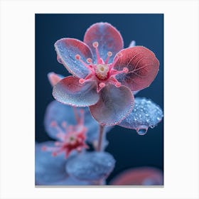 Dewy Flower Canvas Print