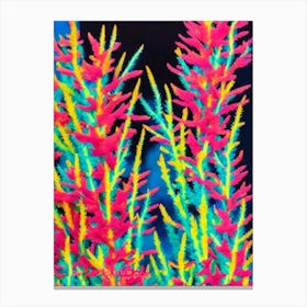 Acropora Aspera Vibrant Painting Canvas Print