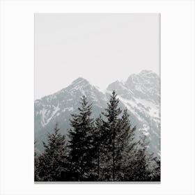 Forest And Mountains Canvas Print