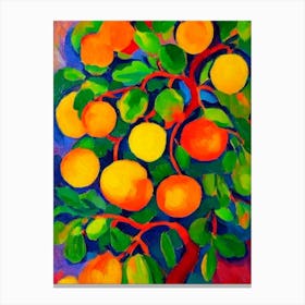 Mangoosteen Fruit Vibrant Matisse Inspired Painting Fruit Canvas Print