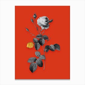 Vintage Provence Rose Black and White Gold Leaf Floral Art on Tomato Red n.0011 Canvas Print