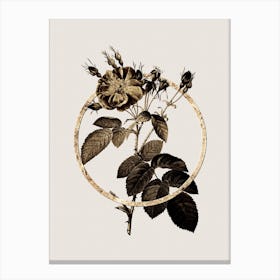 Gold Ring Harsh Downy Rose Glitter Botanical Illustration Canvas Print