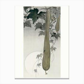 Wild Cucumber And A Full Moon (1877 1945), Ohara Koson Canvas Print