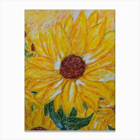 Sunflower Canvas Print