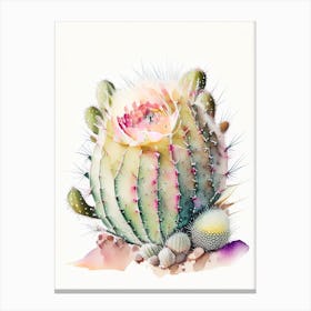 Mammillaria Cactus Storybook Watercolours Canvas Print