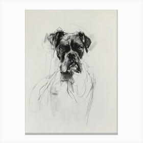 Boxer Dog Charcoal Line 4 Canvas Print