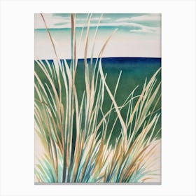 Sea Grasses Vintage Graphic Watercolour Canvas Print